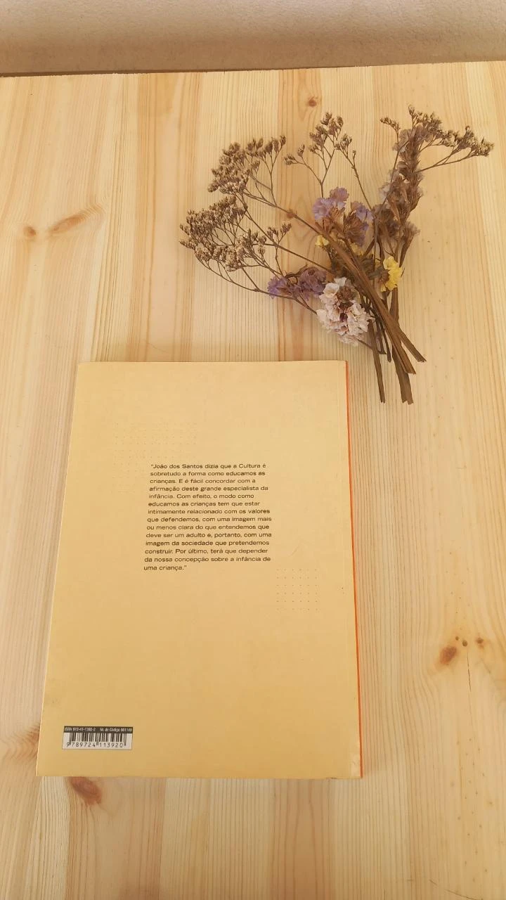 Les Fées ne sont pas allées à l'école | Maria Augusta Seabra Diniz – photo 2